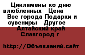 Цикламены ко дню влюбленных › Цена ­ 180 - Все города Подарки и сувениры » Другое   . Алтайский край,Славгород г.